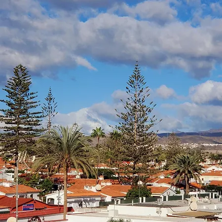 Camelias C14 Playa del Inglés
