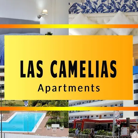 Camelias C14 Playa del Ingles (Gran Canaria)