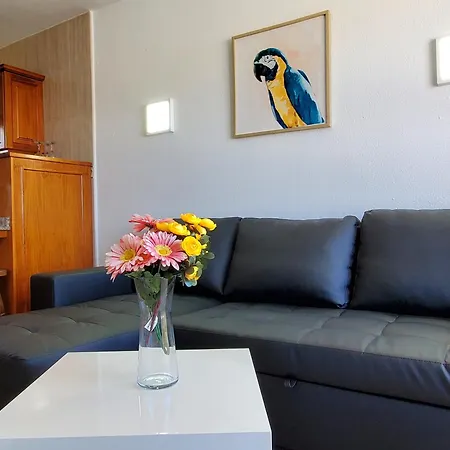 Apartment Camelias C14 Playa del Ingles (Gran Canaria)
